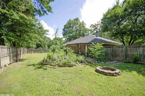 44 Brier Springs Dr, Conway, AR 72034 photo 21