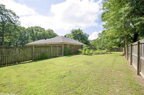 44 Brier Springs Dr, Conway, AR 72034 photo 23