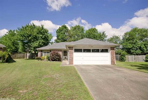 44 Brier Springs Dr, Conway, AR 72034 photo 25