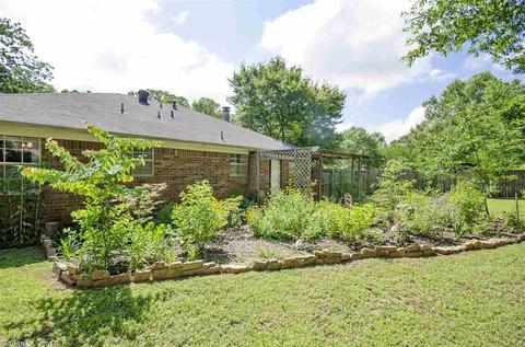 44 Brier Springs Dr, Conway, AR 72034 photo 24