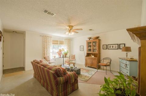 44 Brier Springs Dr, Conway, AR 72034 photo 3