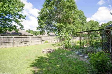 44 Brier Springs Dr, Conway, AR 72034 photo 20