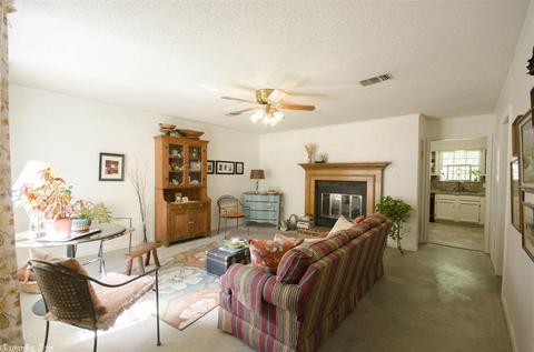 44 Brier Springs Dr, Conway, AR 72034 photo 4