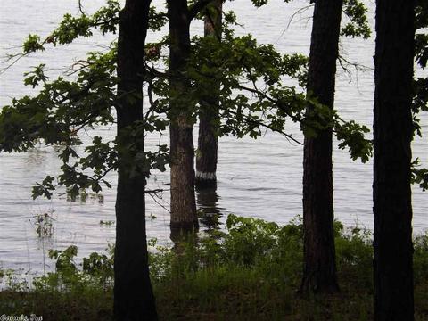 24 Paradise Pt, Quitman, AR 72131 photo 23
