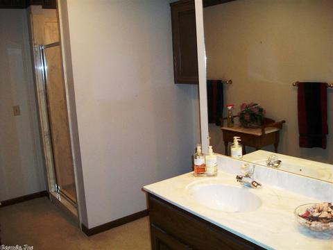 24 Paradise Pt, Quitman, AR 72131 photo 21