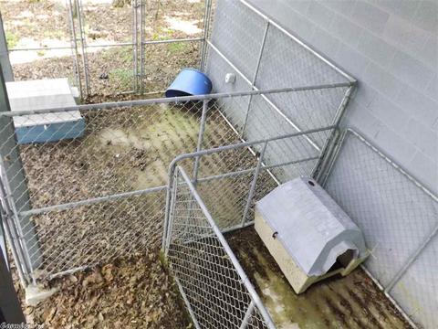 24 Paradise Pt, Quitman, AR 72131 photo 24