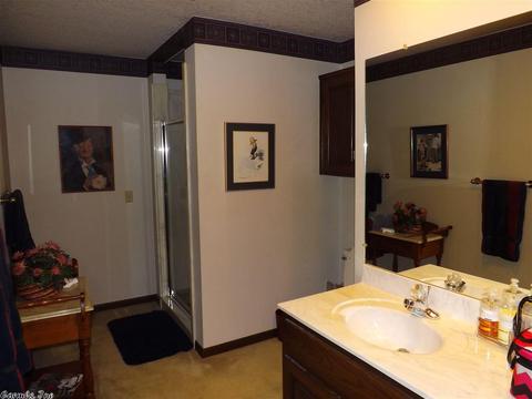 24 Paradise Pt, Quitman, AR 72131 photo 20