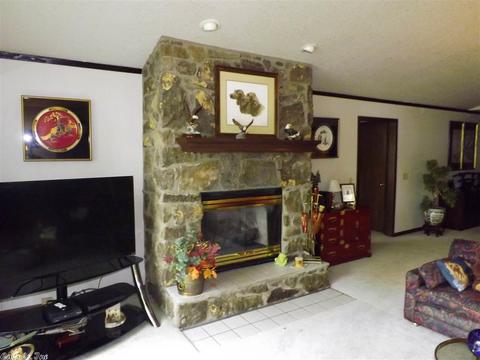 24 Paradise Pt, Quitman, AR 72131 photo 9