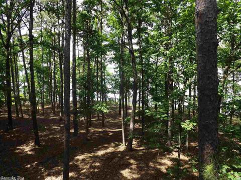 24 Paradise Pt, Quitman, AR 72131 photo 27