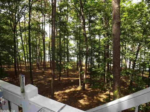 24 Paradise Pt, Quitman, AR 72131 photo 26