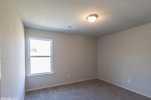14573 Skyline Dr, Alexander, AR 72002 photo 16