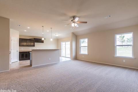14581 Skyline Dr, Alexander, AR 72002 photo 6