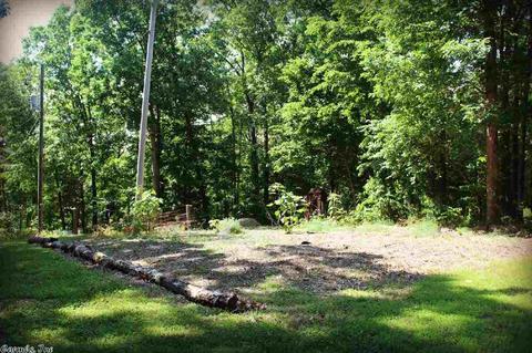 4200 Round Bottom Rd, Mountain View, AR 72560 photo 34