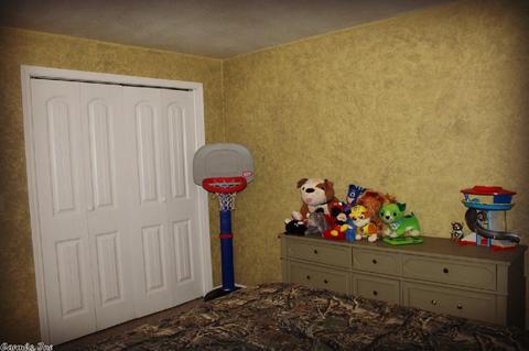 4200 Round Bottom Rd, Mountain View, AR 72560 photo 23