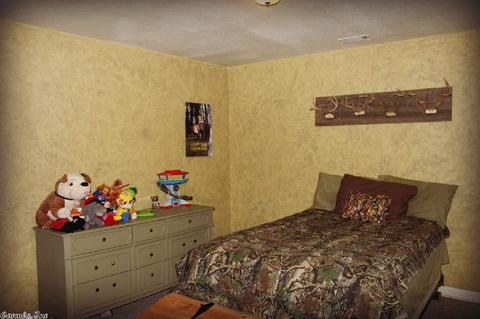 4200 Round Bottom Rd, Mountain View, AR 72560 photo 22