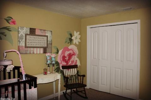 4200 Round Bottom Rd, Mountain View, AR 72560 photo 21