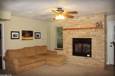 4200 Round Bottom Rd, Mountain View, AR 72560 photo 24