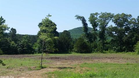 243 Pine Acres Dr, Higden, AR 72067 photo 20