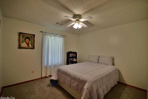 292 Sunny Gap Rd, Conway, AR 72032 photo 35