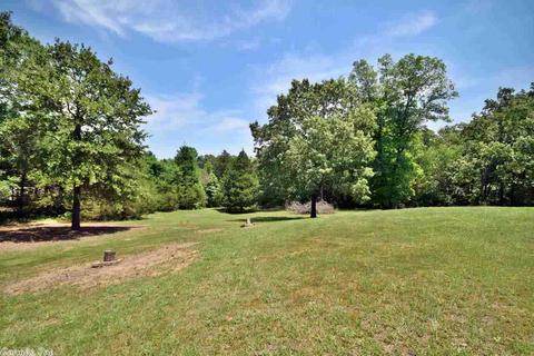 292 Sunny Gap Rd, Conway, AR 72032 photo 8