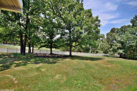 292 Sunny Gap Rd, Conway, AR 72032 photo 5