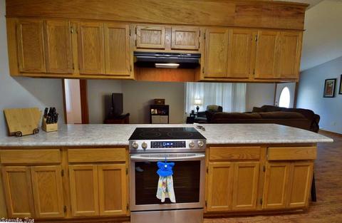 292 Sunny Gap Rd, Conway, AR 72032 photo 24