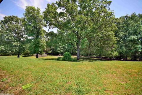 292 Sunny Gap Rd, Conway, AR 72032 photo 16