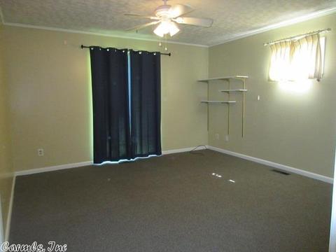 298 Mack St, Clinton, AR 72031 photo 24