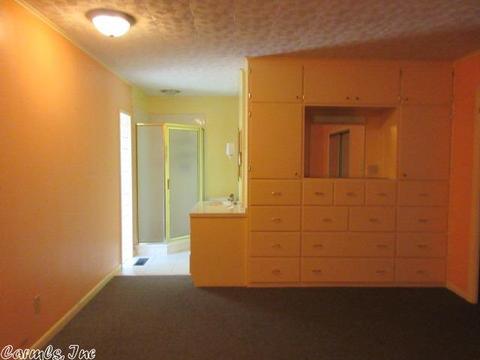 298 Mack St, Clinton, AR 72031 photo 23
