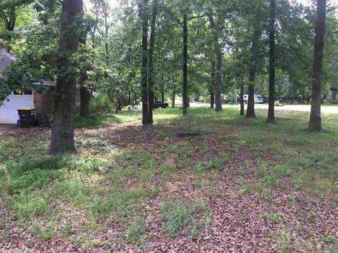 7 Fox Trot Dr, Conway, AR 72032 photo 3