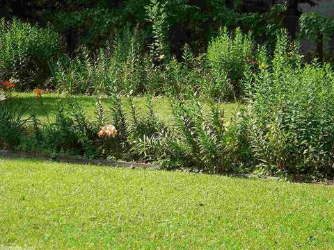 303 Pine Blf, Malvern, AR 72104 photo 6