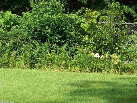 303 Pine Blf, Malvern, AR 72104 photo 7