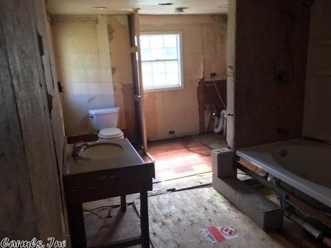 29 Gerik Ln, Conway, AR 72032 photo 28