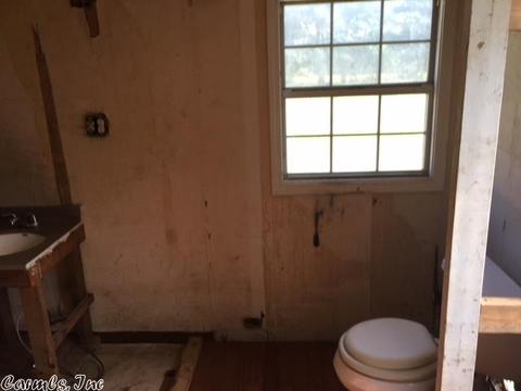 29 Gerik Ln, Conway, AR 72032 photo 33