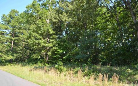 375 Bull Run Loop, Cabot, AR 72023 photo 11