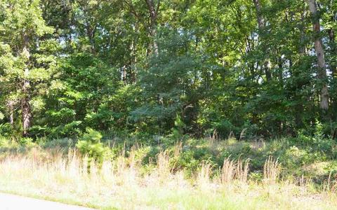 375 Bull Run Loop, Cabot, AR 72023 photo 9