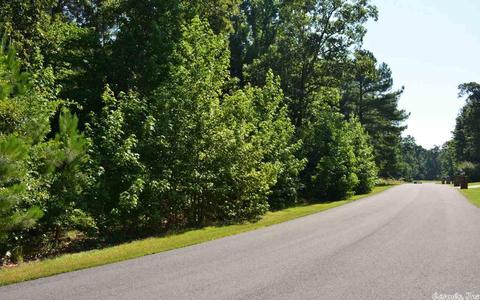 375 Bull Run Loop, Cabot, AR 72023 photo 13