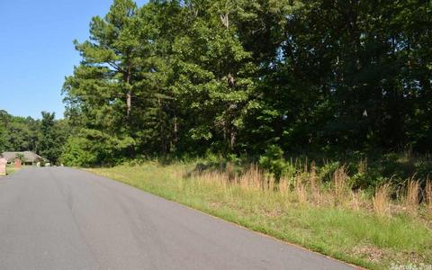 375 Bull Run Loop, Cabot, AR 72023 photo 10