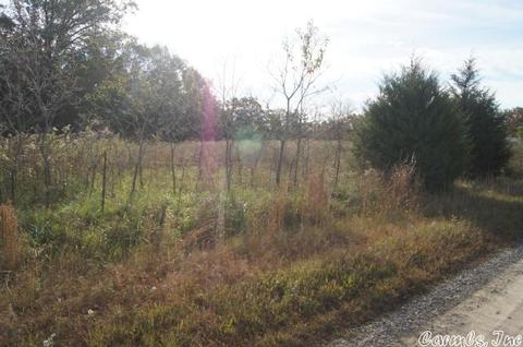 118 Brier Creek Dr, Pangburn, AR 72121 photo 10