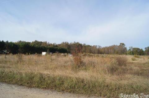 118 Brier Creek Dr, Pangburn, AR 72121 photo 3