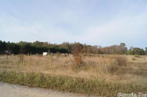 118 Brier Creek Dr, Pangburn, AR 72121 photo 2