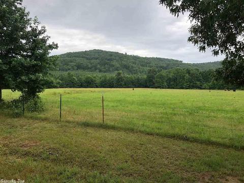 232 Blue Point Rd, Adona, AR 72001 photo 13
