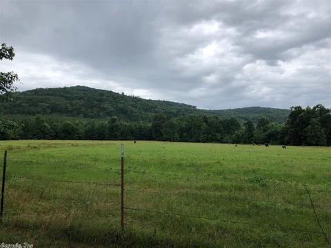 232 Blue Point Rd, Adona, AR 72001 photo 12