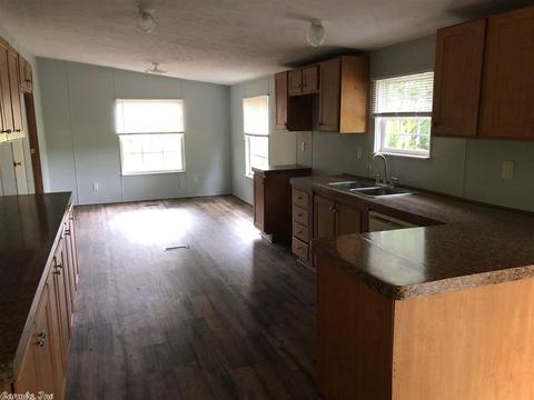 232 Blue Point Rd, Adona, AR 72001 photo 17