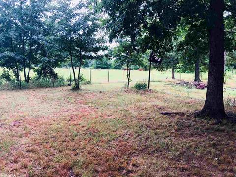 232 Blue Point Rd, Adona, AR 72001 photo 8