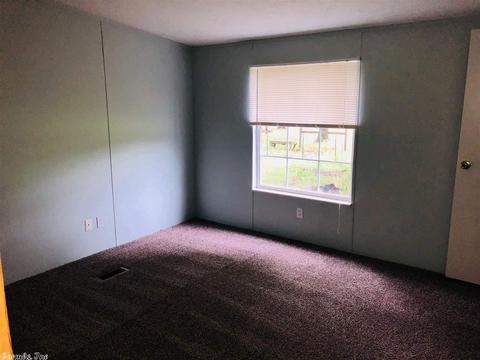232 Blue Point Rd, Adona, AR 72001 photo 21