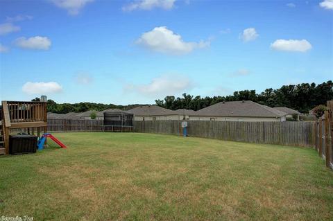 345 Austin Crk, Austin, AR 72007 photo 38