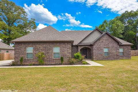 77 Hudson Branch Dr, Austin, AR 72007 photo 1