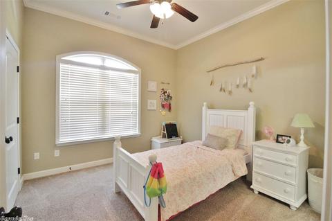 9041 Stone Cyn, Alexander, AR 72002 photo 27