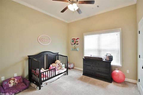 9041 Stone Cyn, Alexander, AR 72002 photo 30